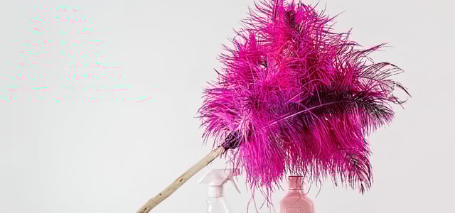 Staubwedel waschen: Diese 4 Tipps solltest du kennen (Foto: CC0 / Pixabay / stevepb) Staubwedel waschen