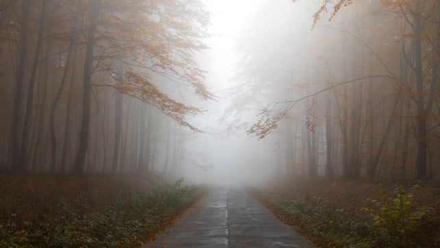 Lüften bei Nebel: Ist das sinnvoll? Lüften bei Nebel