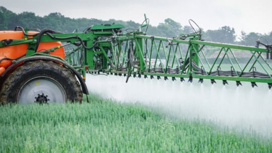 Glyphosat wird auf vielen Feldern gespritzt. Glyphosat wird auf vielen Feldern gespritzt.