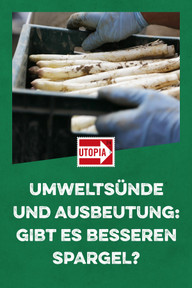 spargel-besser Plastik, Pestizide und Ausbeutung: Gibt es besseren Spargel?
