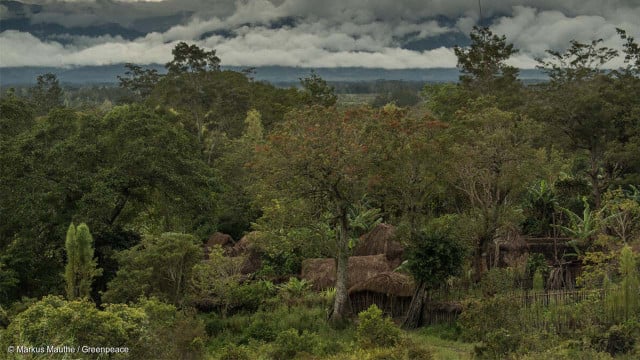 grad.jetzt Biodiversität