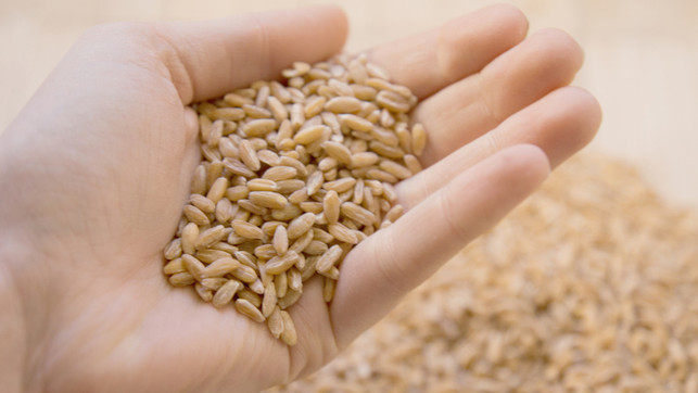 dinkel-gruenkern-colourboxde-verena-maria-170804 Dinkel Grünkern