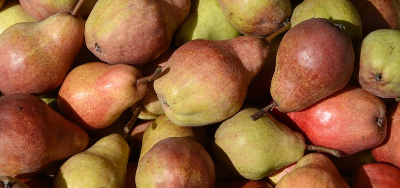 Birnenkompott: Einfaches Rezept zum Selbermachen - Utopia.de