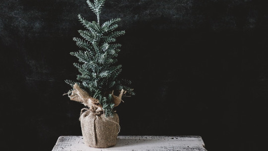 weihnachtsbaum-im-topf-cc0-pixabay-hudsoncrafted-221205 Weihnachtsbaum im Topf