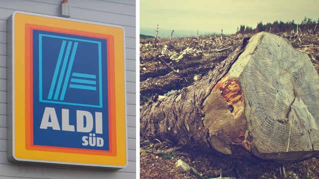 brasilien-boykott-supermaerkte-u_pb-cc0-picography-200511-1280x720 Supermärkte drohen mit Brasilien-Boykott