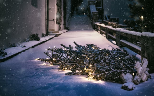 Weihnachtsbäume-Alternativen Weihnachtsbäume-Alternativen