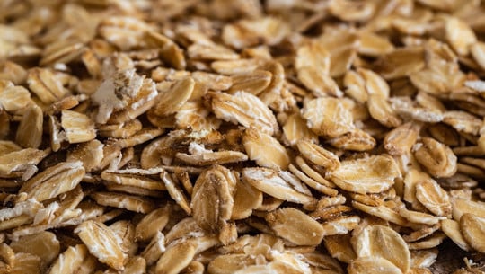 haferflocken-fuer-voegel-cc0-pixabay-martin_hetto-250121 haferflocken für vögel