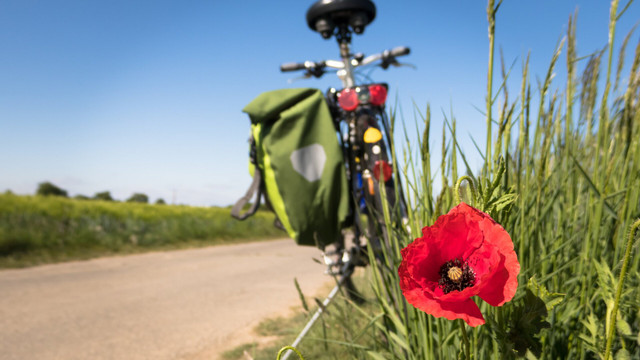 fahrradtour-europa-cc0-pixabay-didgeman-250312 fahrradtour europa