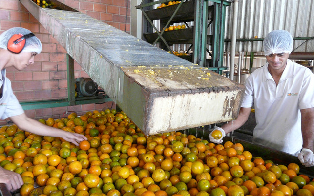 orangensaft-produktion-brasilien-z-CIR-210712-1280x800 Orangensaftproduktion: Nur drei bis vier Unternehmen kontrollieren den Markt in Brasilien.