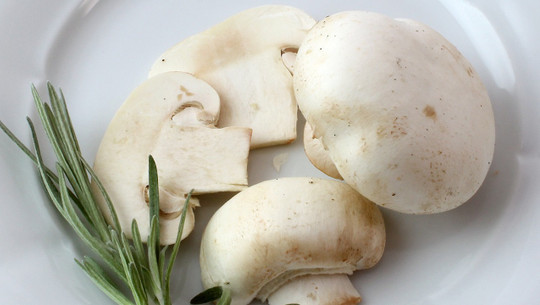 pilze-fleischersatz-cc0-pixabay-fichte7-210924 Pilze Fleischersatz