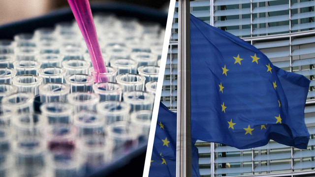 EU lockert Gentechnik-Regeln: Das ändert sich für dein Essen EU lockert Gentechnik-Regeln: Das ändert sich für dein Essen