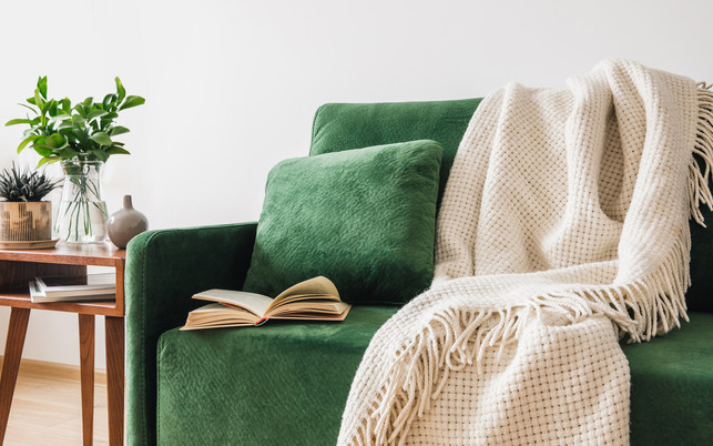 green sofa with pillow, book and blanket near wooden coffee table with plants Um dich über den Umgang mit sozialen Medien zu informieren, gibt es neben Filmen auch spannende Bücher.