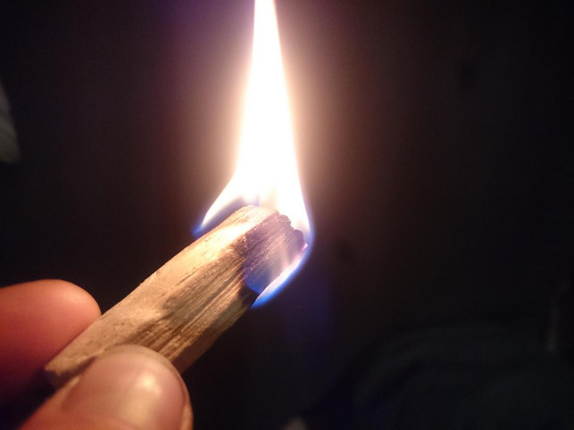 palo-santo-zum-raeuchern-pascal-thiele-utopiade-181107_download Aus dem Holz von Palo Santo kann auch Schmuck oder Dekoration entstehen.