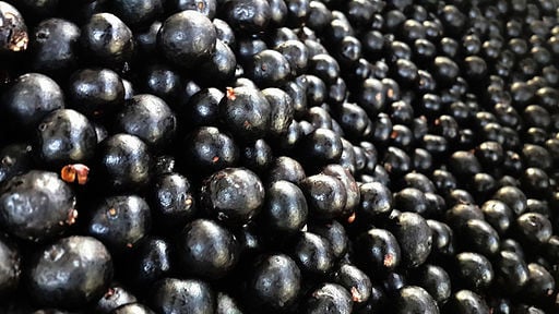 acai_debulhado Acai-Beeren