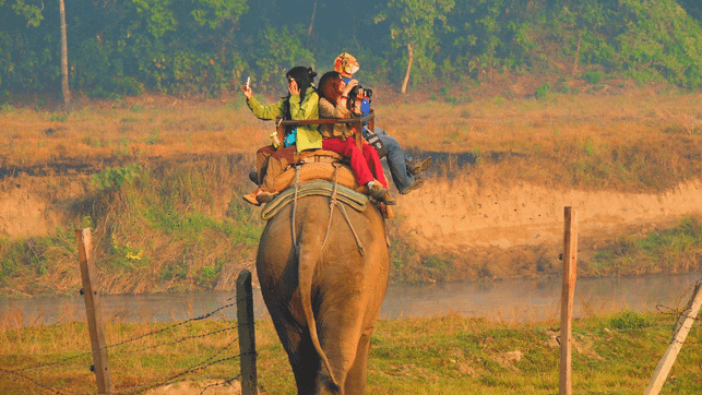 Die armen Tiere: 5 Urlaubs-Attraktionen, die du auf keinen Fall unterstützen solltest Tier-Attraktionen, die du vermeiden solltest