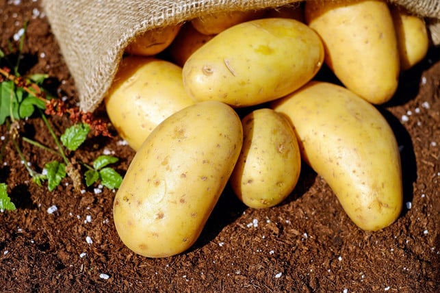 leinbeutel-eignen-sich-zur-lagerung-von-kartoffeln-cc0-pixabay-couleur-241030_download Leinbeutel eignen sich zur Lagerung von Kartoffeln.