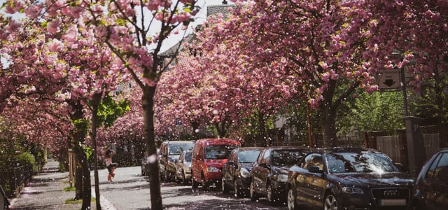 Parkende Autos in einer Straße in Marburg