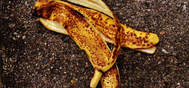 Bananenschale Rosen düngen