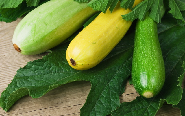 Zucchini_12