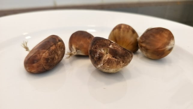 leckere-maronen-kochen-oder-backen-sven-christian-schulz-utopia-170906_download Maronen kannst du zubereiten, indem du sie im Topf oder Backofen garst.