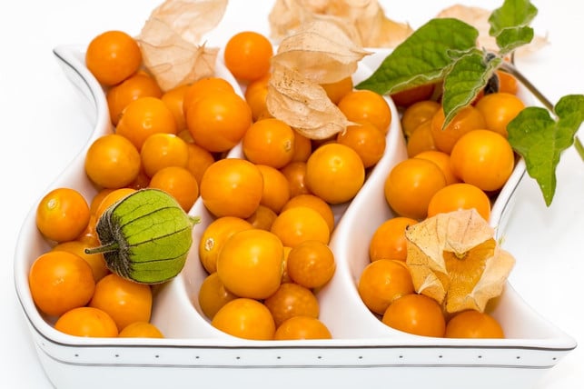 in-physalis-stecken-einige-vitamine-und-mineralsto-cc0-pixabay-stevepb-180830_download In Physalis stecken etliche Vitamine und Mineralstoffe