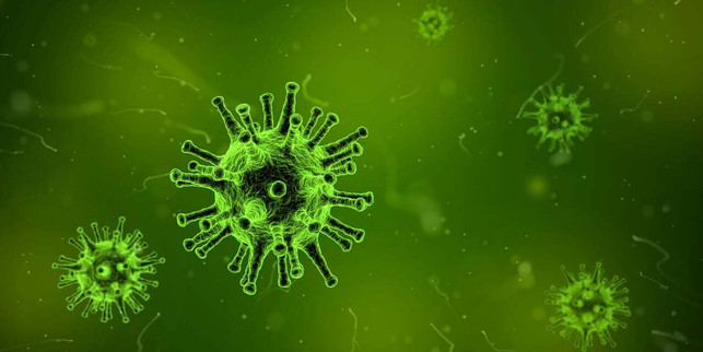 ein-aktives-immunsystem-hat-nicht-nur-vorteile-so-cc0-pixabay-qimono-231019_download Ein aktives Immunsystem hat nicht nur Vorteile, sondern kann Entzündungen und Autoimmunerkrankungen begünstigen.