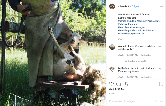 lobeleihof-bei-instagram-lobeleihof-instagram-190618_download Lobeleihof bei Instagram.