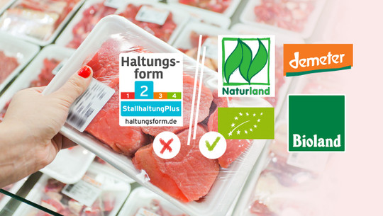 tierwohl-label-sw-petunyia-190227-1280x720 Haltungsform Fleisch Initiative Tierwohl Label