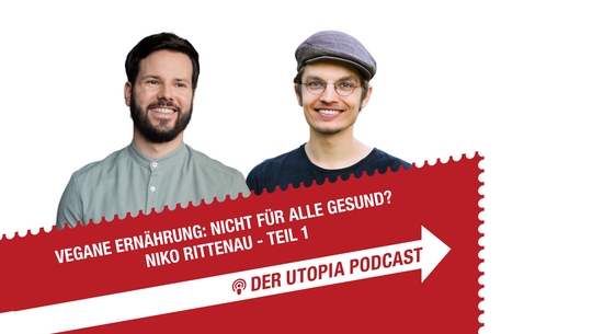 Vegane Ernährung nicht für alle gesund? Niko Rittenau warnt vor "Restrisiko" Vegane Ernährung nicht für alle gesund? Niko Rittenau warnt vor "Restrisiko"