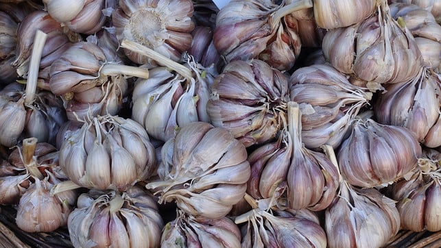 um-knoblauch-aufzubewahren-solltest-du-einen-troc-cc0-pixabay-monikawl999-231030_download Um Knoblauch aufzubewahren, solltest du einen trockenen, dunklen und kühlen Ort wählen.