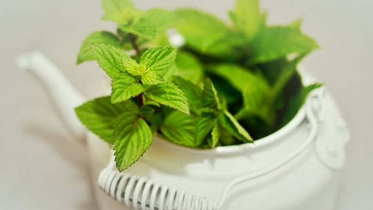 cc0-pixabay-congerdesign-190225