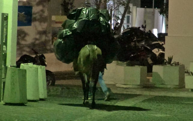 2018-08-Esel-Santorin-vlcsnap-12h12m08s203-c-PETA-D Esel Santorin Tierquälerei Tourismus