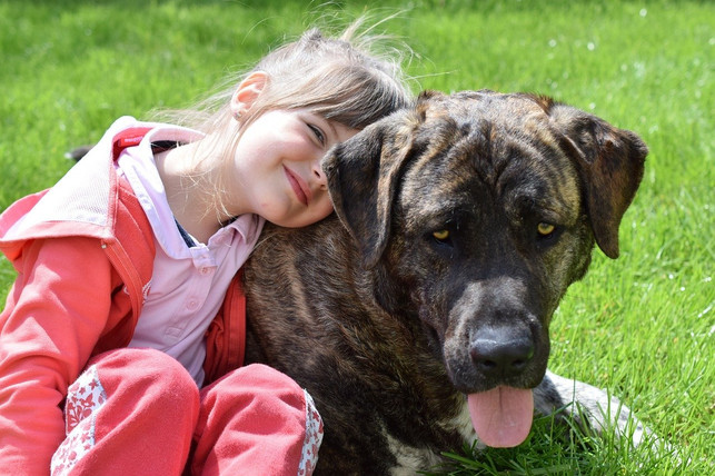kinder-und-hunde-gehen-oft-eine-enge-beziehung-ein-cc0-pixabay-mondisso-191221_download Hunde eignen sich als Haustiere für Kinder und gehen oft eine enge Beziehung mit ihnen ein.