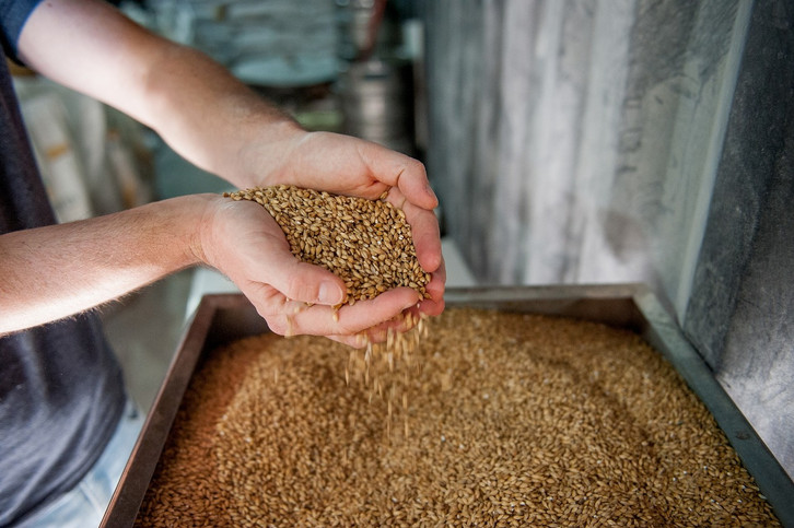 grains-contains-ferulic acids-cc0pixabayuirams-201220_download Barley and wheat contain ferulic acid.