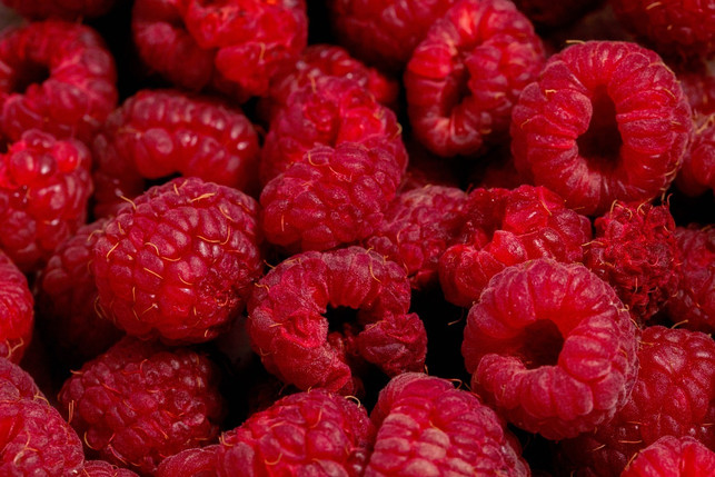 himbeeren-koennen-in-zahlreichen-rezepten-verarbeit-cc0-pixabay-timokefoto-240613_download Himbeeren können in zahlreichen Rezepten verarbeitet werden.
