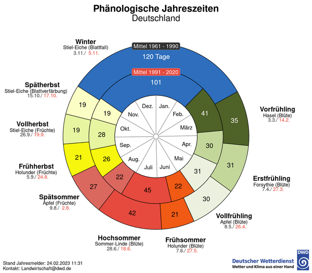 der-phaenologische-kalender-setzte-sich-aus-eintrit-httpswwwdwddedewetterthema_des_tages2023-231129_download Der phänologische Kalender setzte sich aus Eintrittszeiten der phänologischen Jahreszeiten in Deutschland zusammen. Hier siehst du ihre Veränderungen der letzten Jahre (außen: 1961-1990, innen: 1991 - 2020).