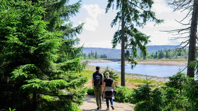 Wandern auf dem Harzer-Hexenstieg in Niedersachsen Wandern auf dem Harzer-Hexenstieg in Niedersachsen