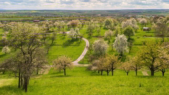 Artenschutz CO2-Speicher Artenschutz CO2-Speicher