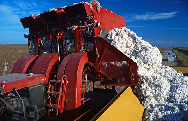 Baumwolle - Baumwollernte Baumwollerntemaschine