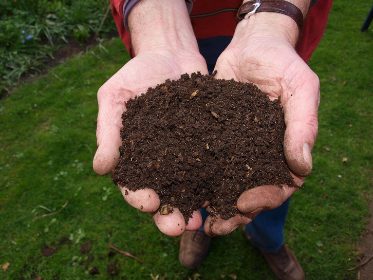 dünger für kirschbaum Bio-Kirschbaum-Dünger kaufen main image 0