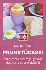 pin-it-foto-pixabay-cc0-210318_download Pin it!