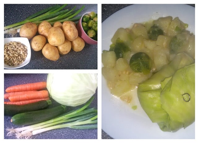 vegane-kohlrouladen-mit-einer-kartoffel-rosenkohl-melanie-von-daake-utopia-170823_download Vegane Kohlrouladen mit einer Kartoffel-Rosenkohl-Pfanne als festliches veganes Hauptgericht