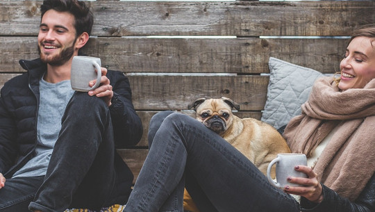 cc0-pixabay-5688709-181006