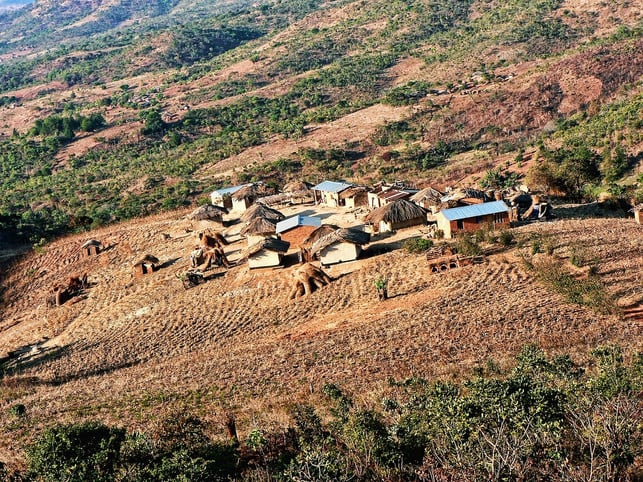 moringa-hilft-in-afrika-beim-kampf-gegen-mangelern-cc0-pixabay-graham-h-180406_download Moringa hilft in Afrika beim Kampf gegen Mangelernährung.
