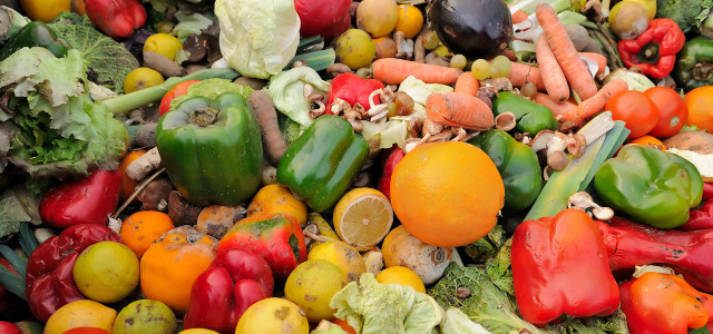 Der WWF hat eine Petition gegen Lebensmittelverschwendung gestartet