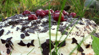 schwarzwaelder-kirschtorte-kannst-du-auch-vegan-zub-utopia-leonie-barghorn-200803_download Schwarzwälder Kirschtorte kannst du auch vegan zubereiten.