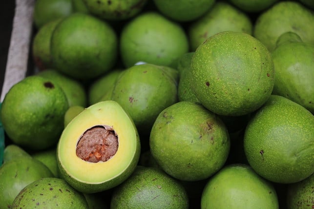 haeufig-werden-avocados-aus-mexiko-importiert-cc0-pixabay-ma_rika-180725_download Häufig werden die zuckerarmen Avocados aus Mexiko importiert.