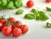 Tomaten und Basilikum zusammen pflanzen