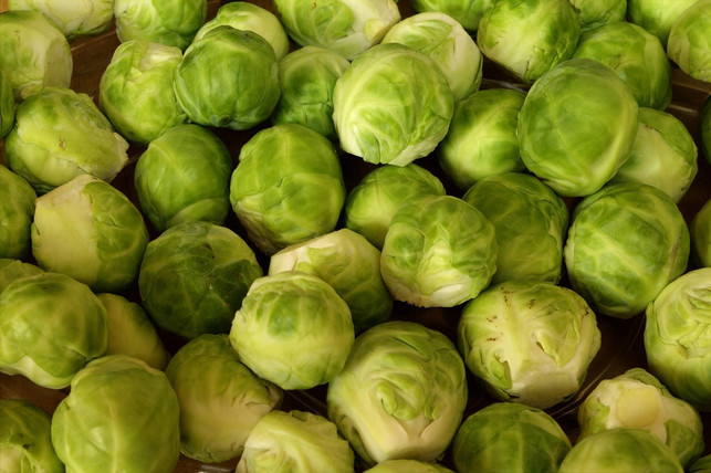 rosenkohl-kannst-du-im-kuehlschrank-bis-zu-acht-tag-cc0-pixabay-kalhh-250206_download Rosenkohl kannst du im Kühlschrank bis zu acht Tage lang lagern.