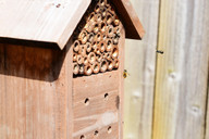wenn-am-standort-deines-insektenhotels-viele-mensc-cc0-pixabay-pollydot-190510_download Wenn am Standort deines Insektenhotels viele Menschen vorbei kommen, vertreibst du damit Vögel und weitere Fressfeinde der Insekten.
